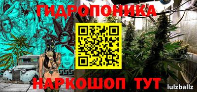 a pvp Владимир