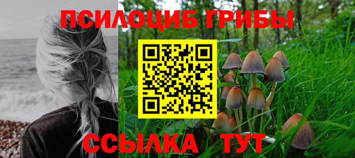Галлюциногенные грибы Cubensis Назрань