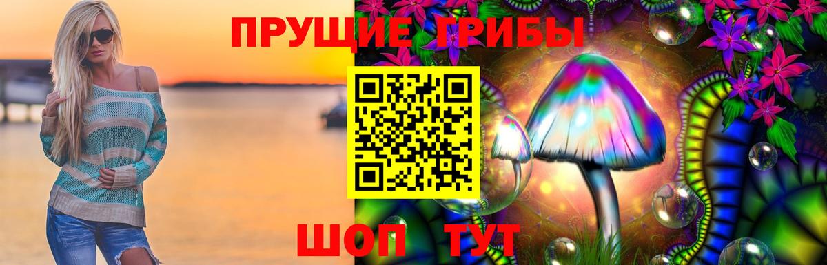 Назрань  Галлюциногенные грибы мицелий  Псилоцибиновые грибы Psilocybe  Вход с VPN 